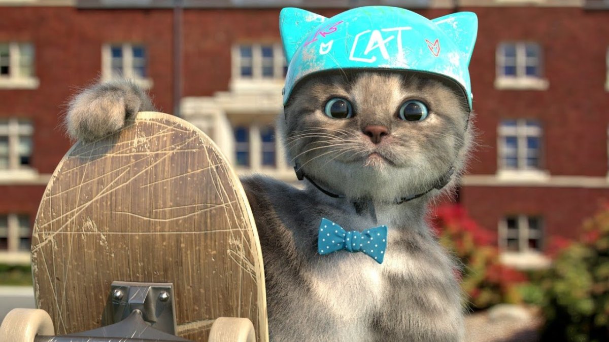 Приключения маленького котенка мультфильм