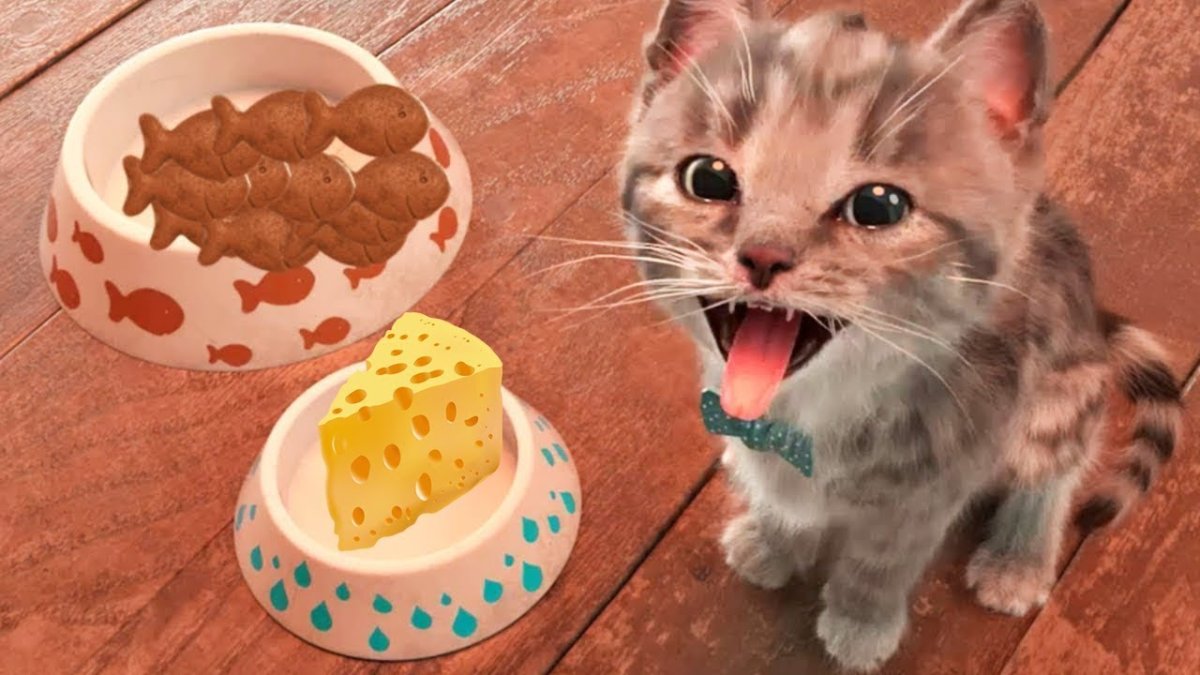 Приключения маленького котенка ютуб