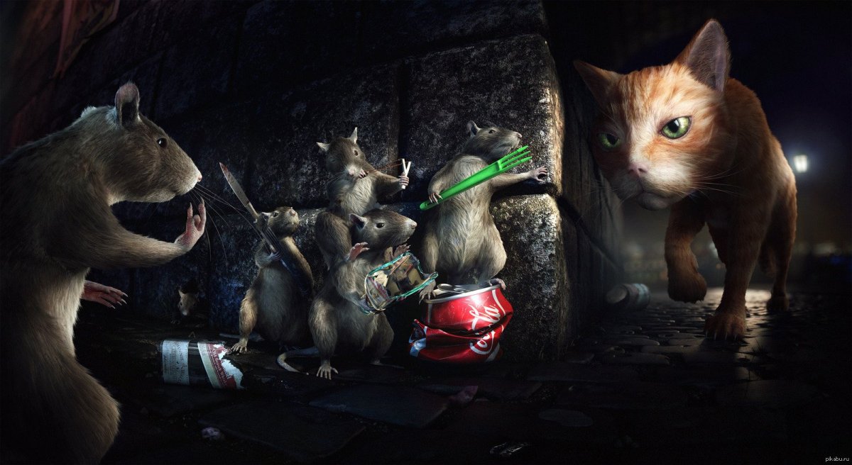 Коты против мышей