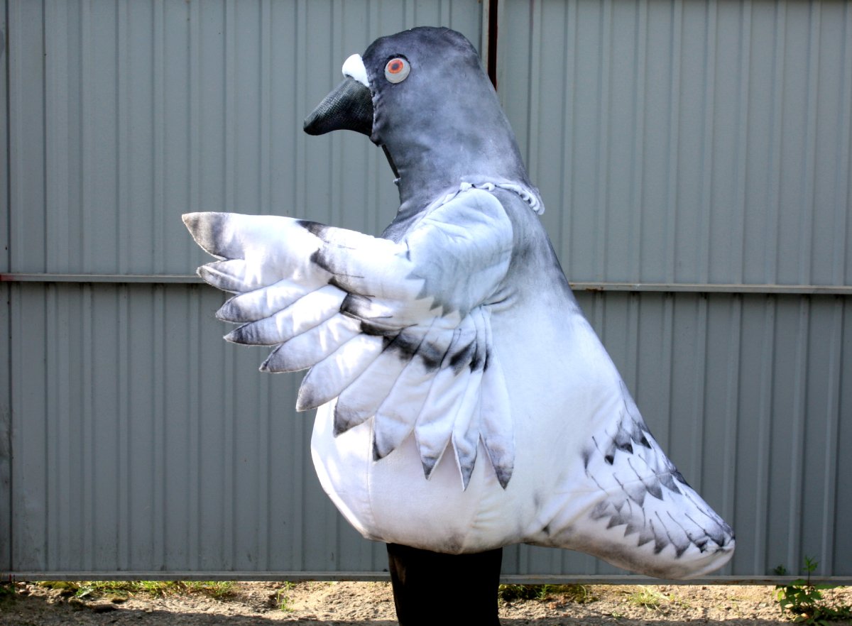 Самый большой голубь