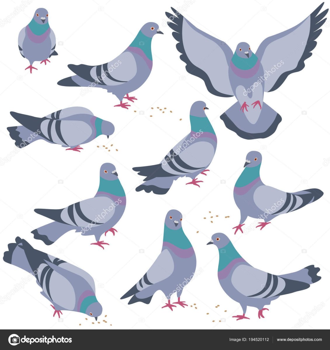 Голуби породы Гамбургский