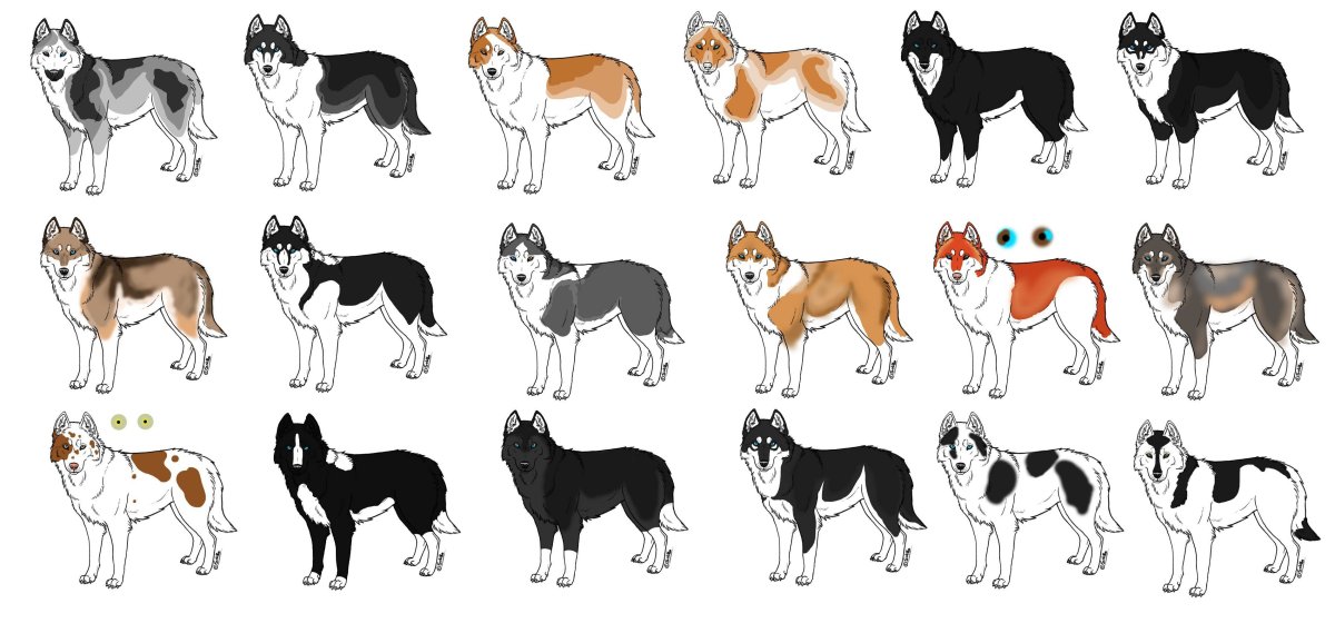 Порода Сибирский хаски окрасы