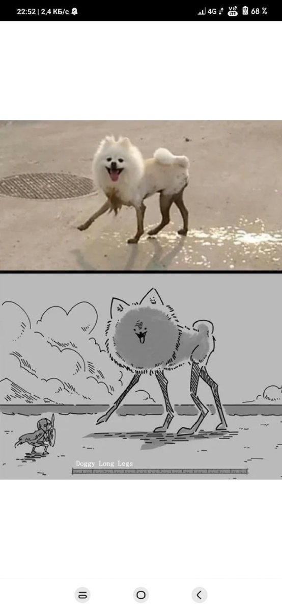 Прикольный свитер для собаки