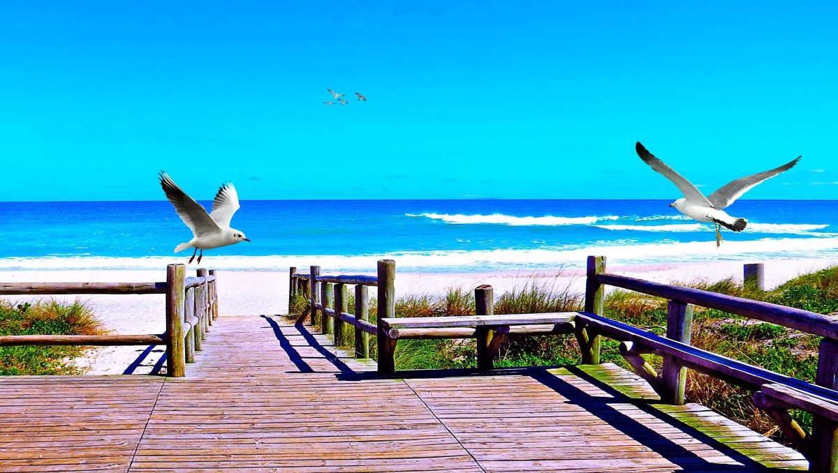 Кайо Коко Фламинго