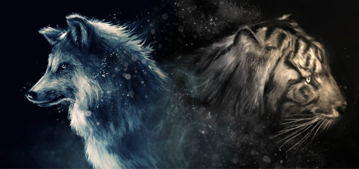 Волк и тигр арт