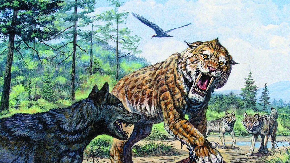 Саблезубый медведь Смилодон