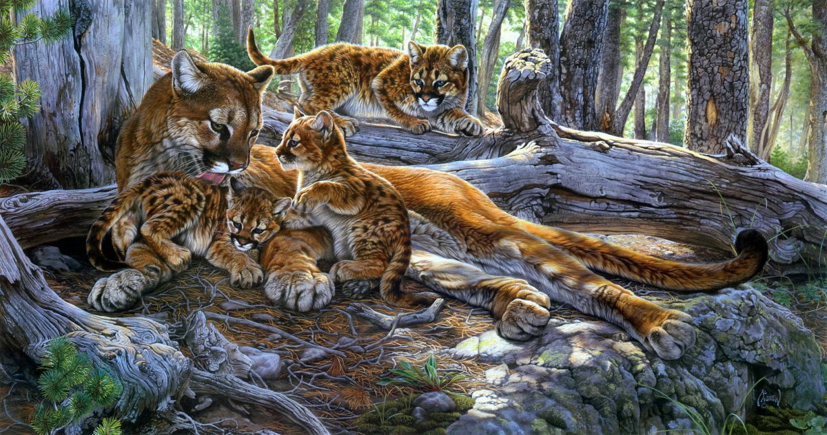 Al Agnew художник