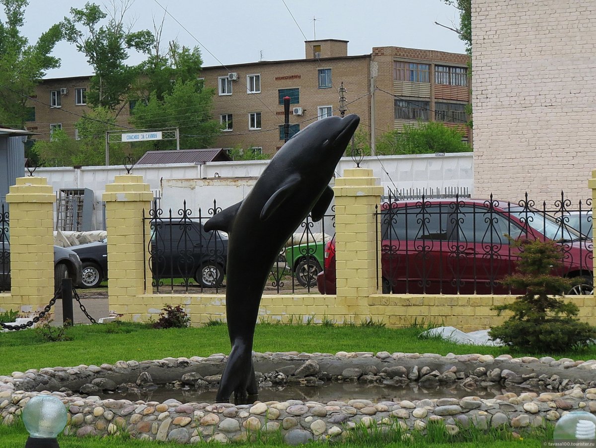 Соль-Илецк тюрьма черный Дельфин