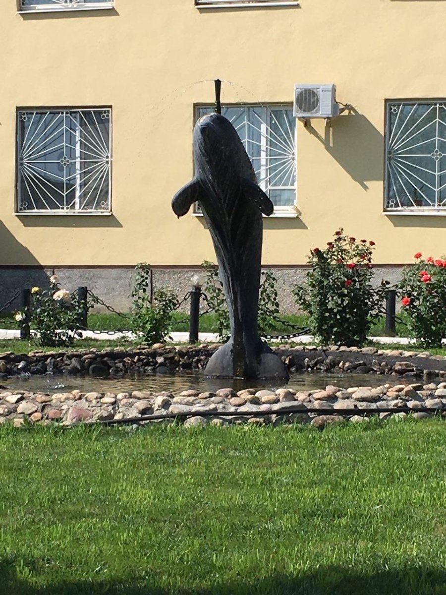 Фонтан с черным дельфином под Оренбургом