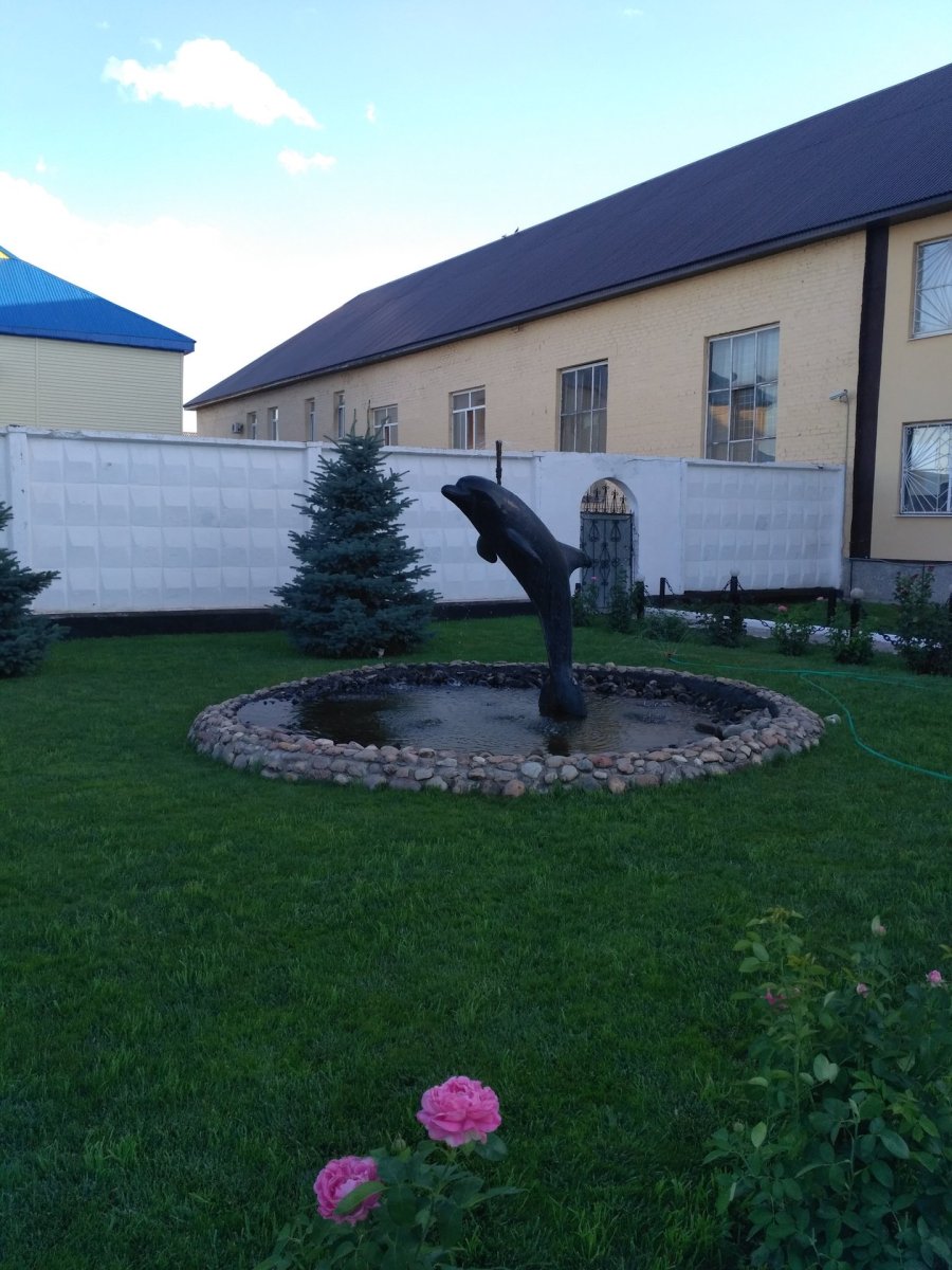 Фонтан с черным дельфином