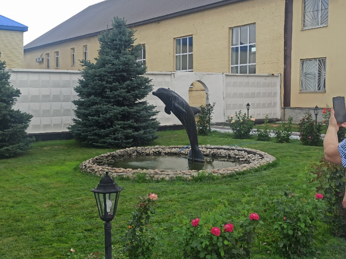 Черные дельфины гринды