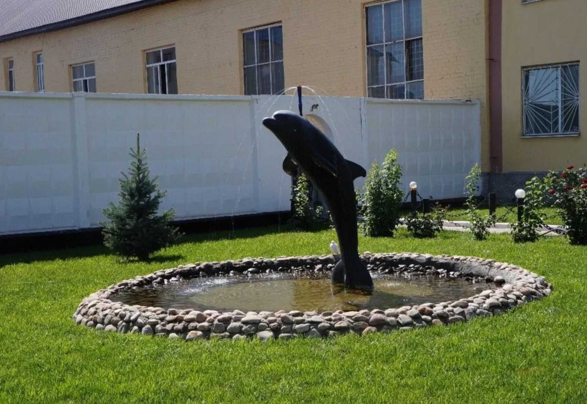 Оренбург фонтанчик с черным дельфином