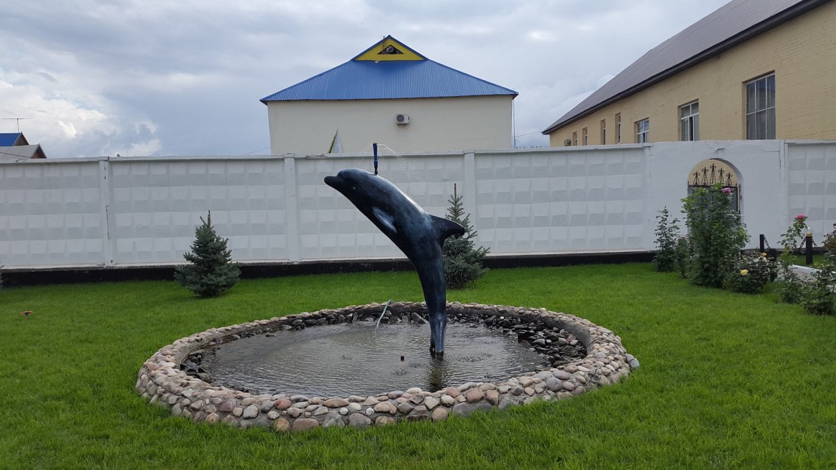 Соль-Илецк колония черный Дельфин