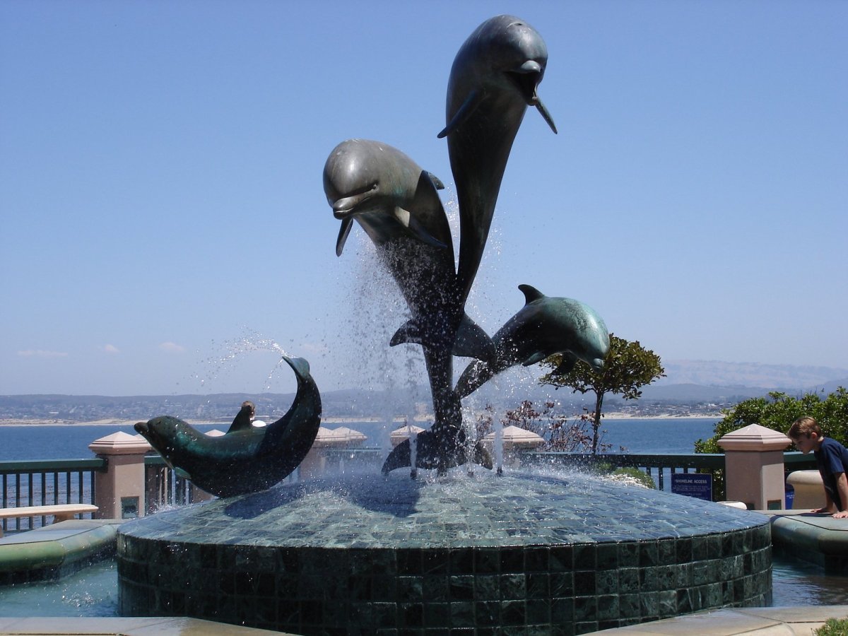 Дельфины на черном фоне