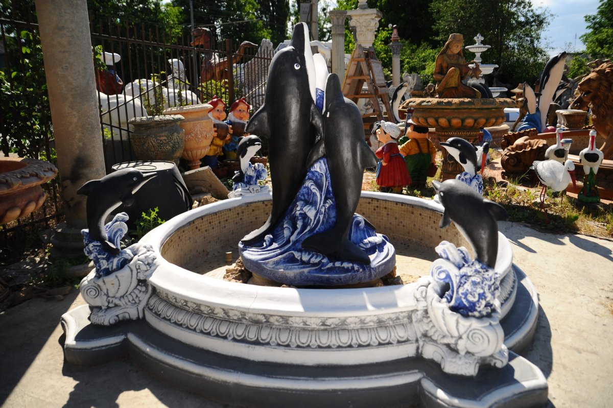 Черный Дельфин