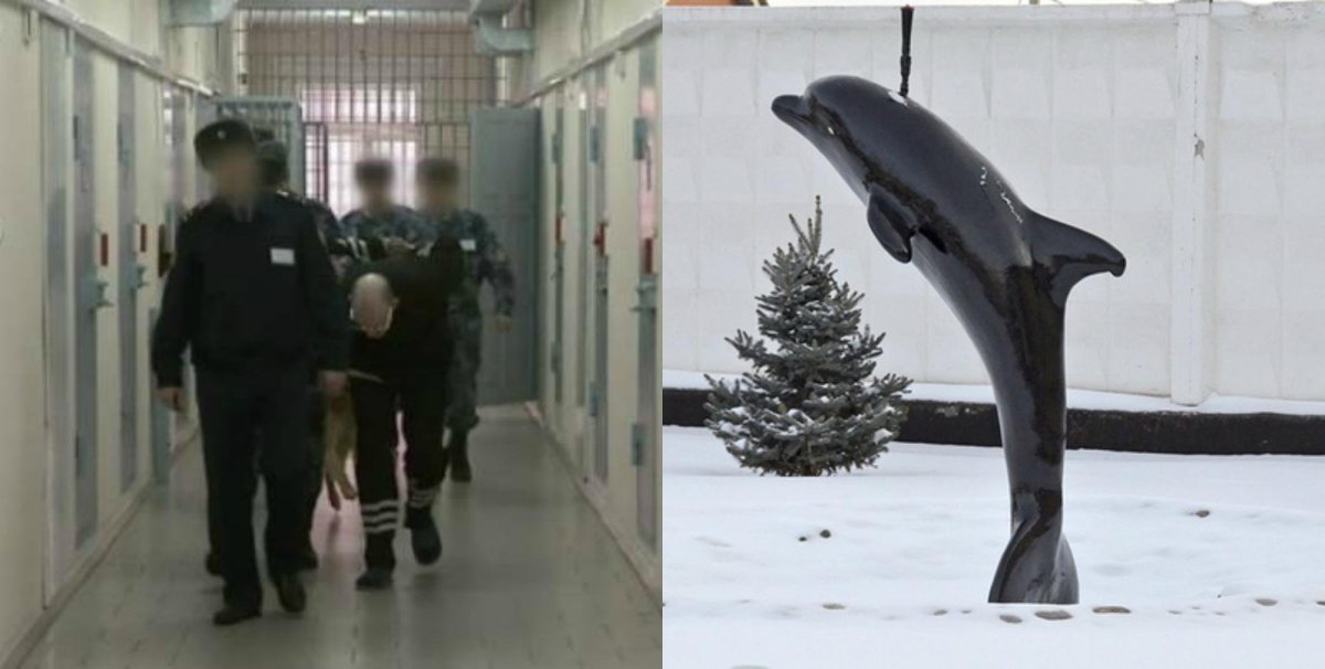 Соль-Илецк зона черный Дельфин