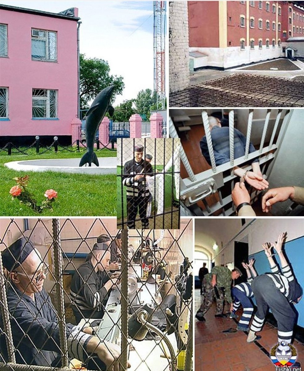 Фонтан дельфины Ефимов