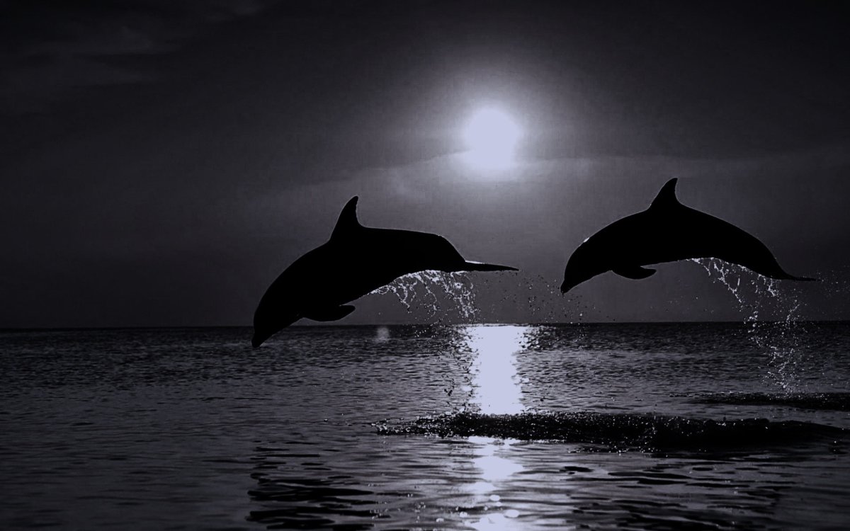 Фонтан Дельфин Polin