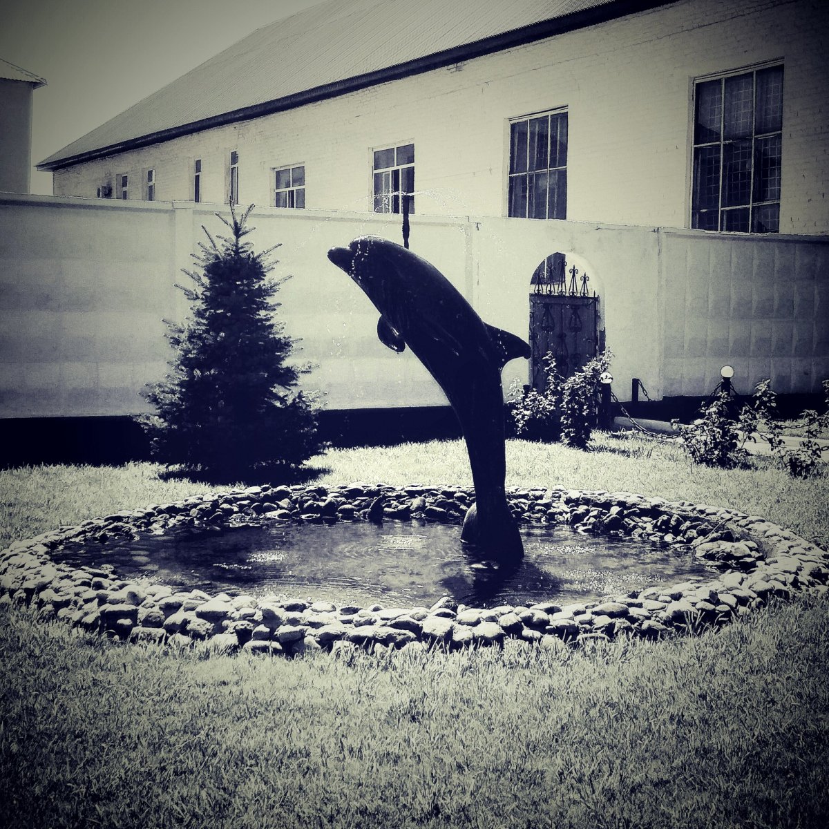 Соль-Илецк ИК-6 черный Дельфин