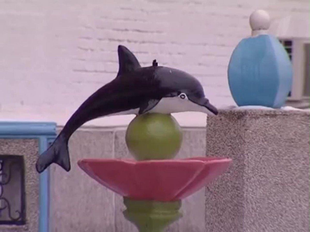 Соль-Илецк колония черный Дельфин