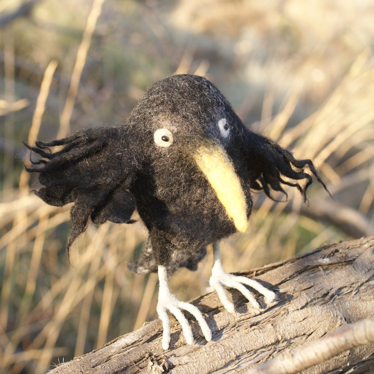 Детеныш вороны