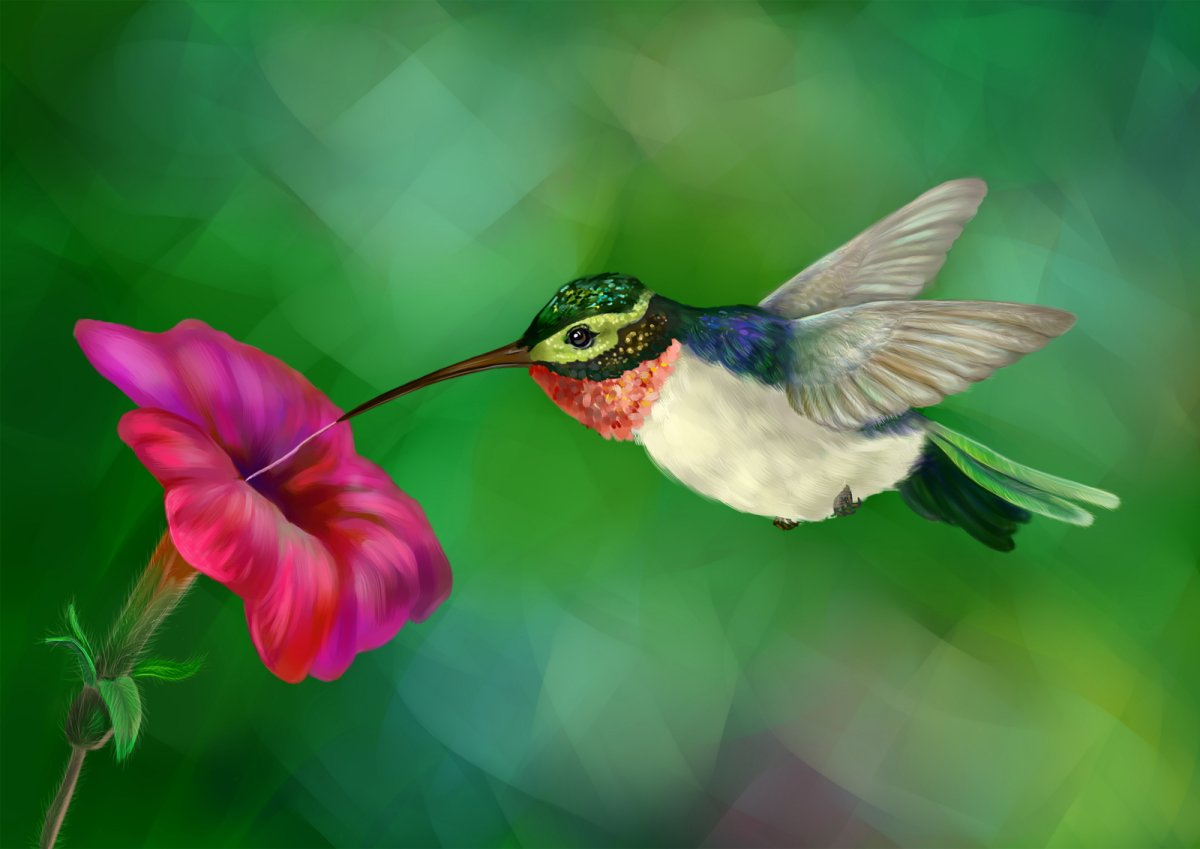 Красивые цветы и птички