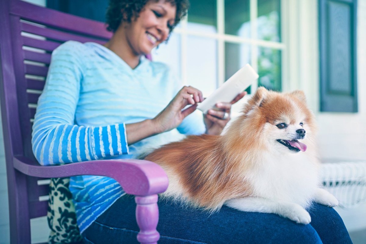 Собака Ксении Бородиной Берти