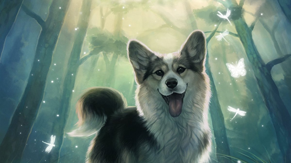 Собака Ксении Бородиной порода