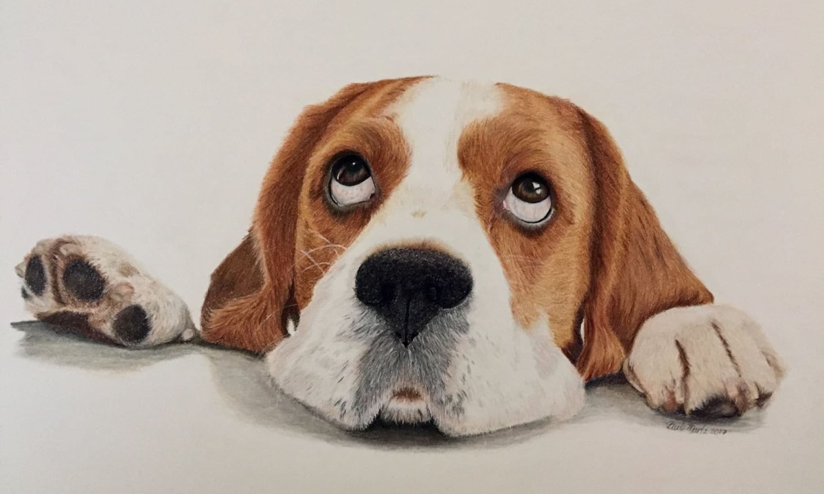 Мопс (прорицатель)