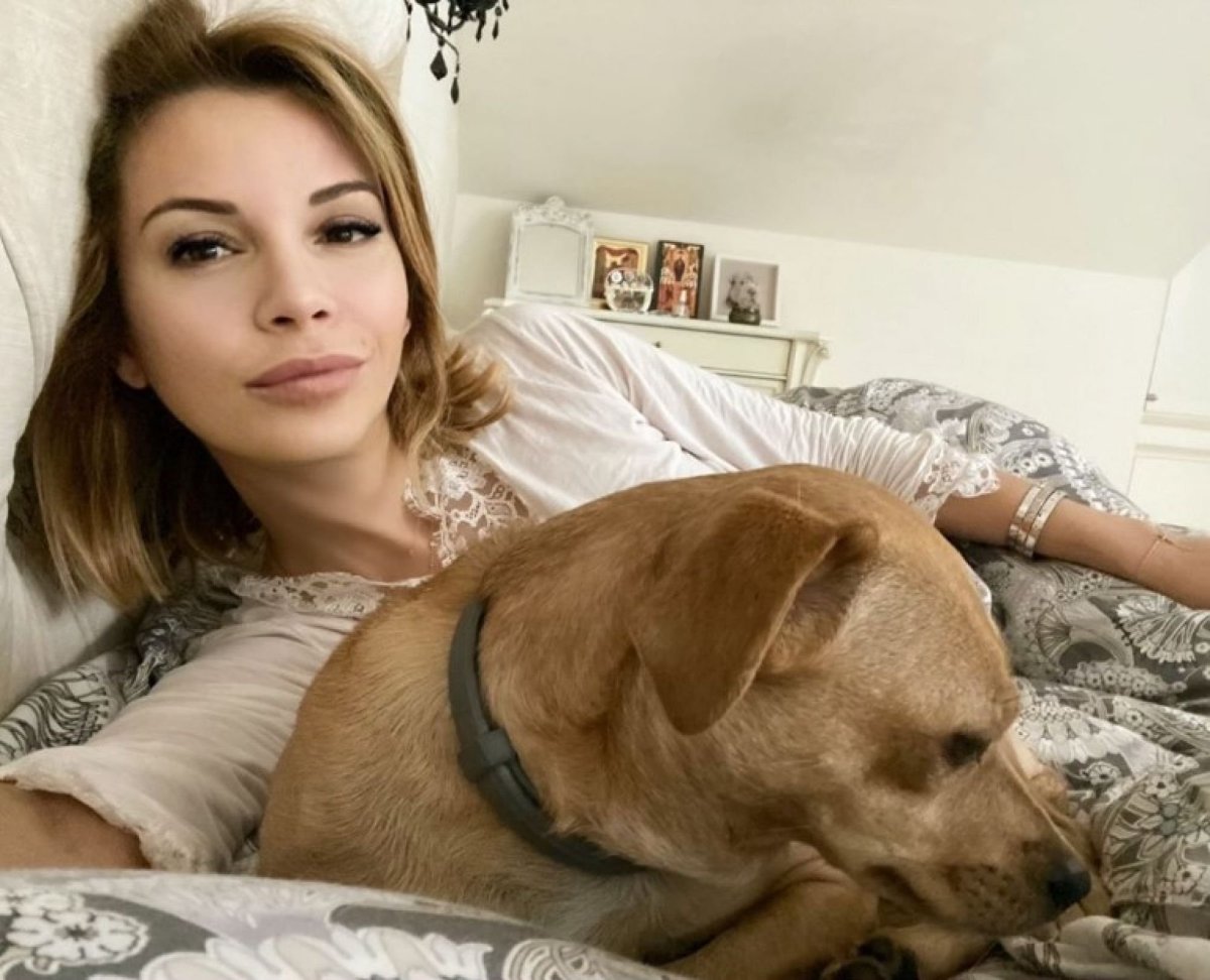 Корги на рабочий стол