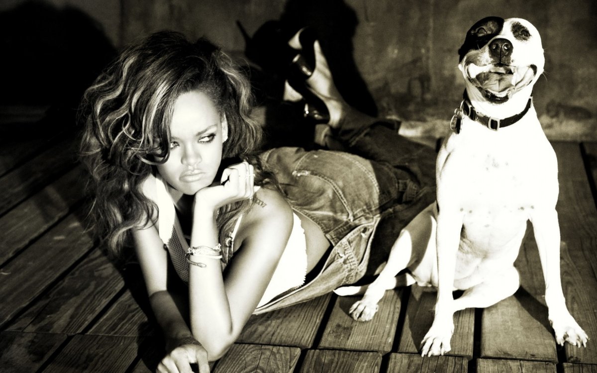 Ковалер Кин Чаинс спанеель