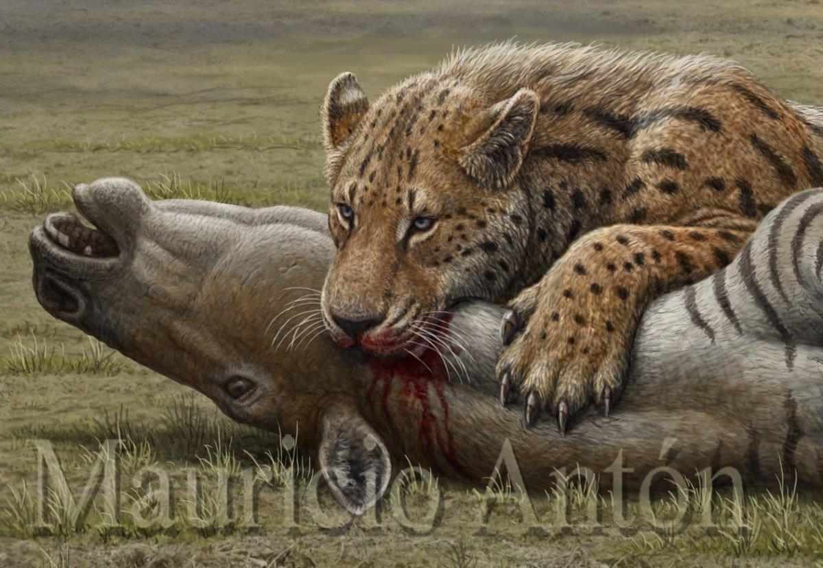 Саблезубый тигр Махайрод