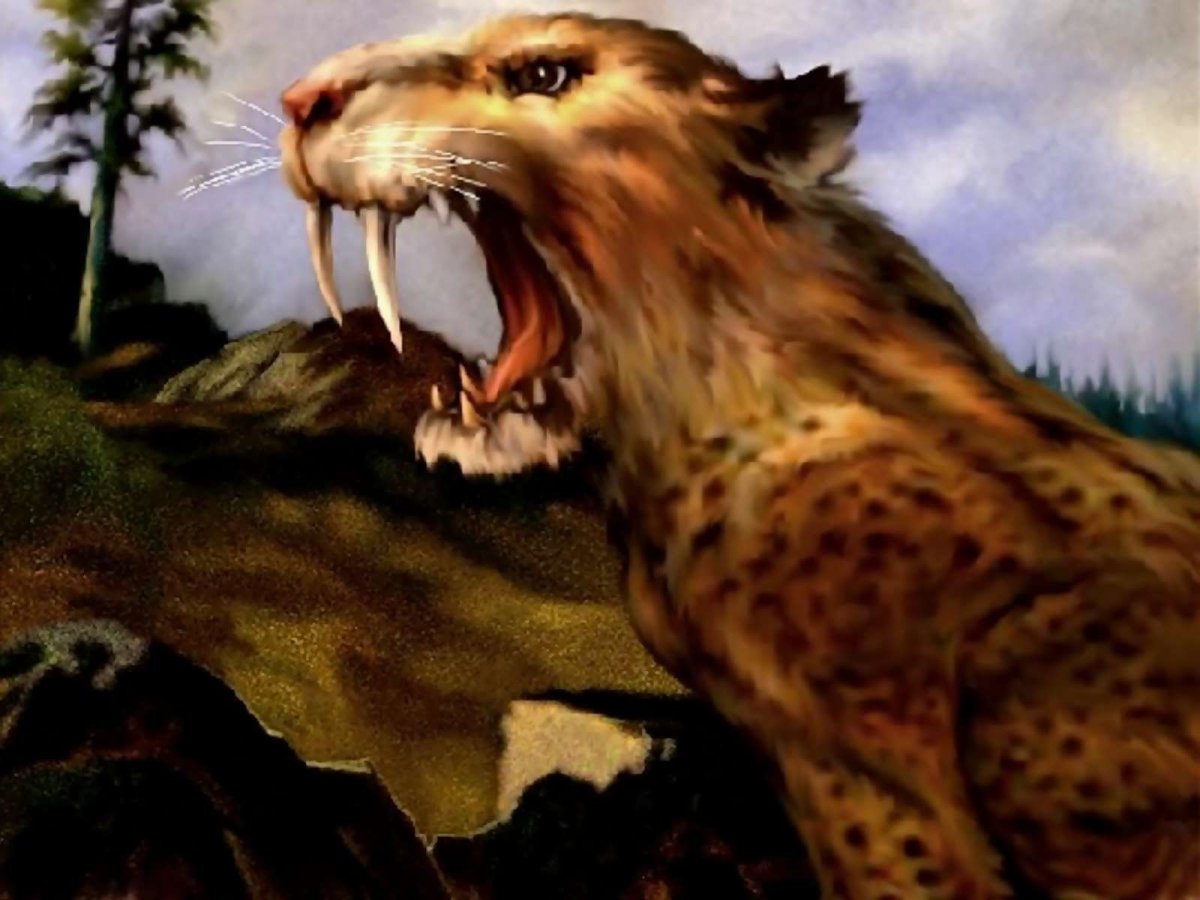 Cмилодон (Саблезубый тигр)