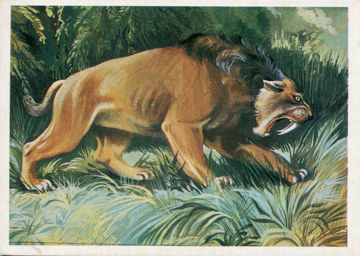 Доисторические хищники Энтелодонт