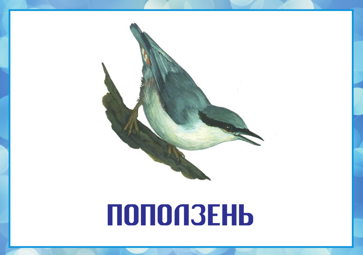 Птички весной