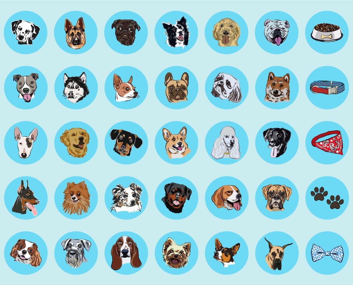 Акита-ину и мопсик