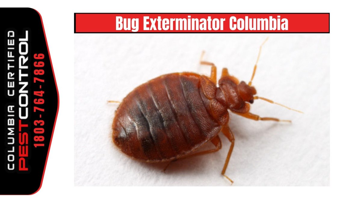 Виды домашних насекомых