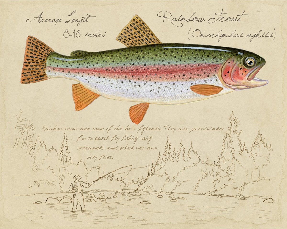 Шуберт форель иллюстрация