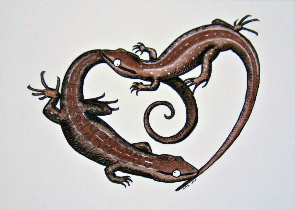 Ящерица обыкновенная рисунок