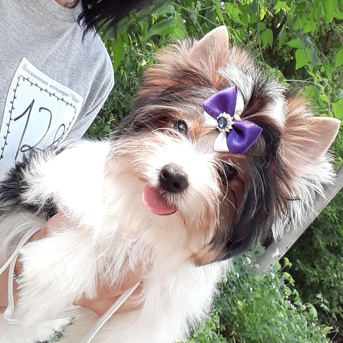 Питомник биверов Бриз Кунашира Монопородный