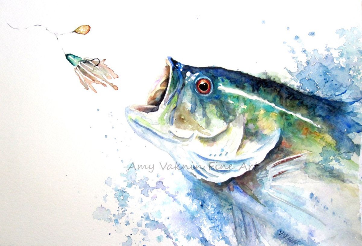 Лосось Гладышевский