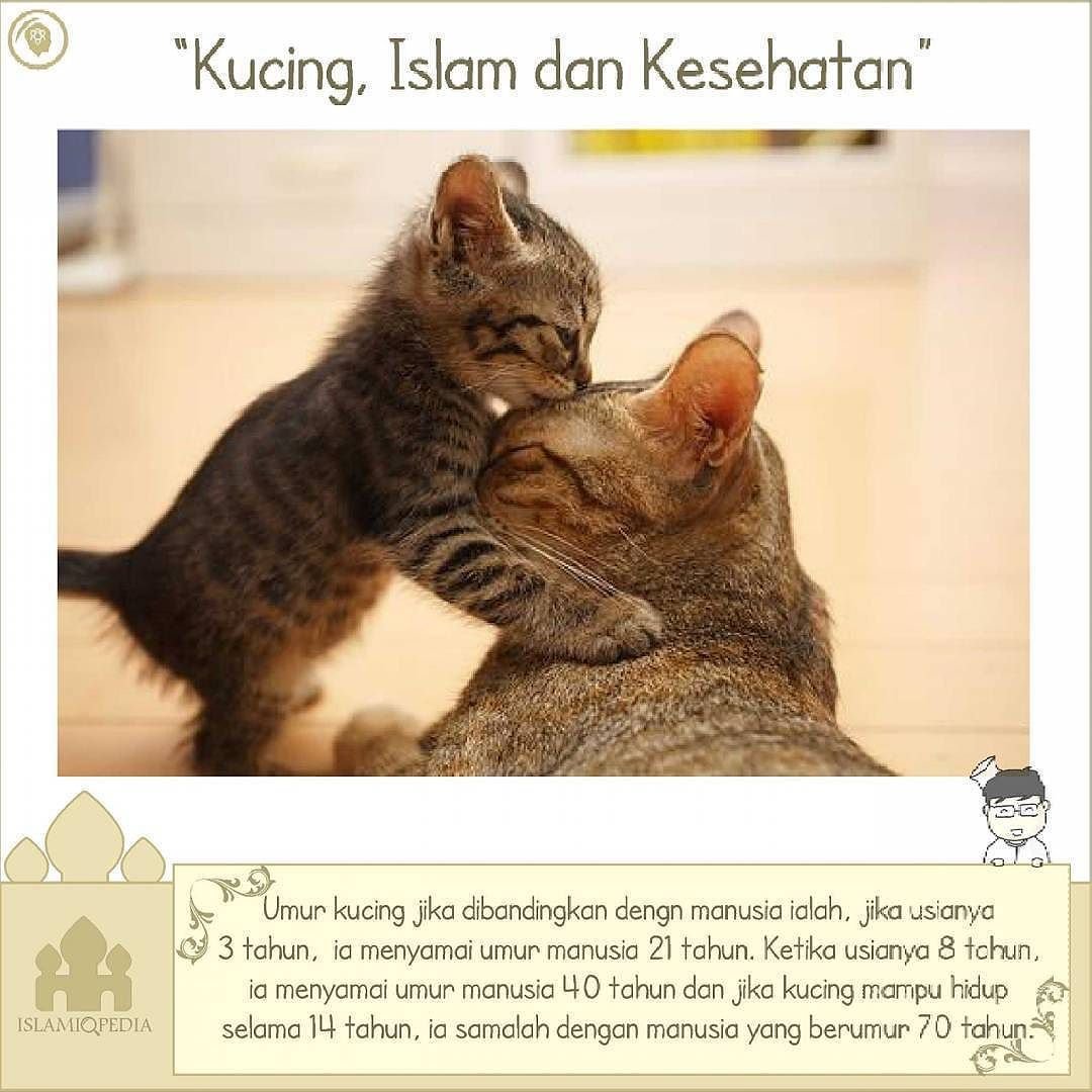 Ночной мир в Новосибирском зоопарке