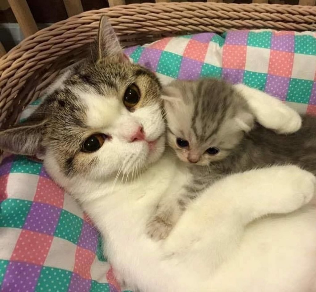 Мама, я тебя люблю!