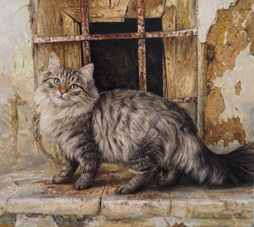 Селфи кота Мэнни