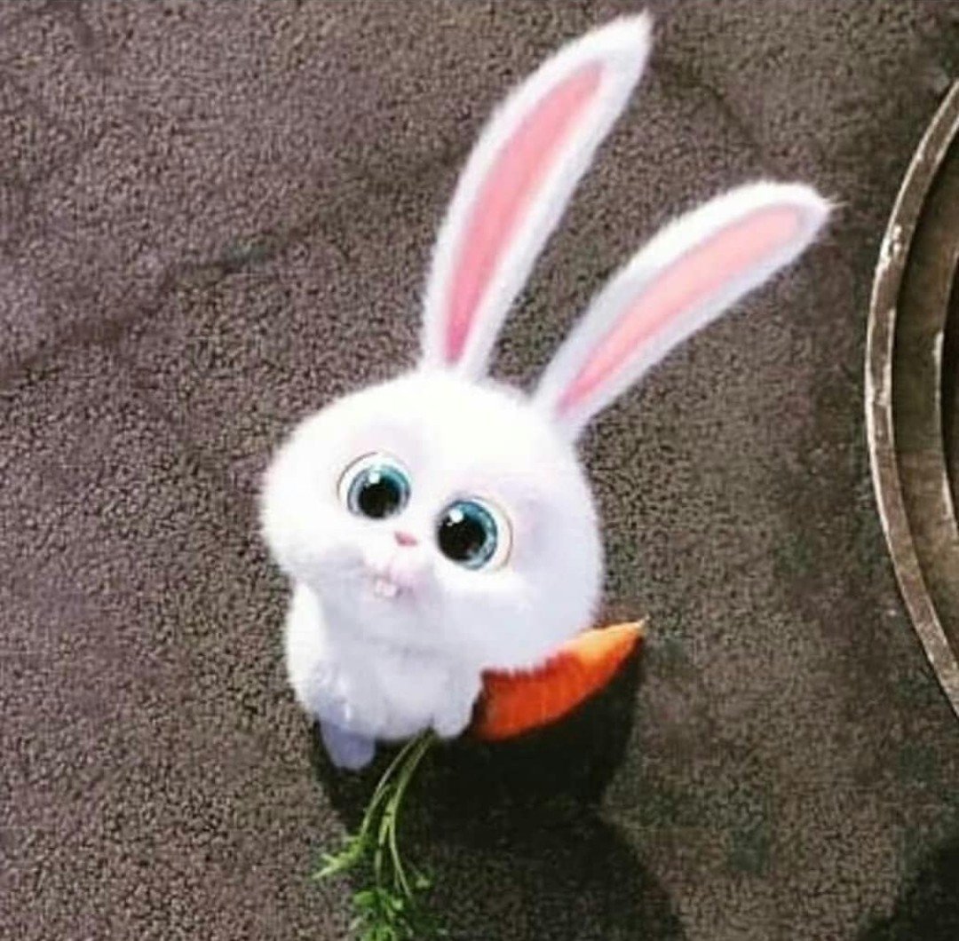 Миленький зайчик