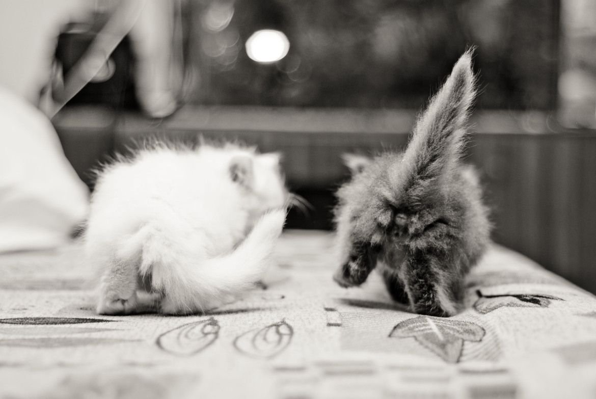 Вот бывало лежишь и думаешь