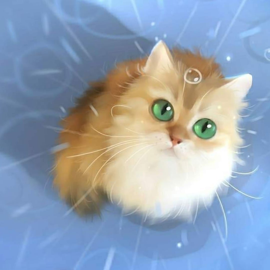 Белый пушистый котенок