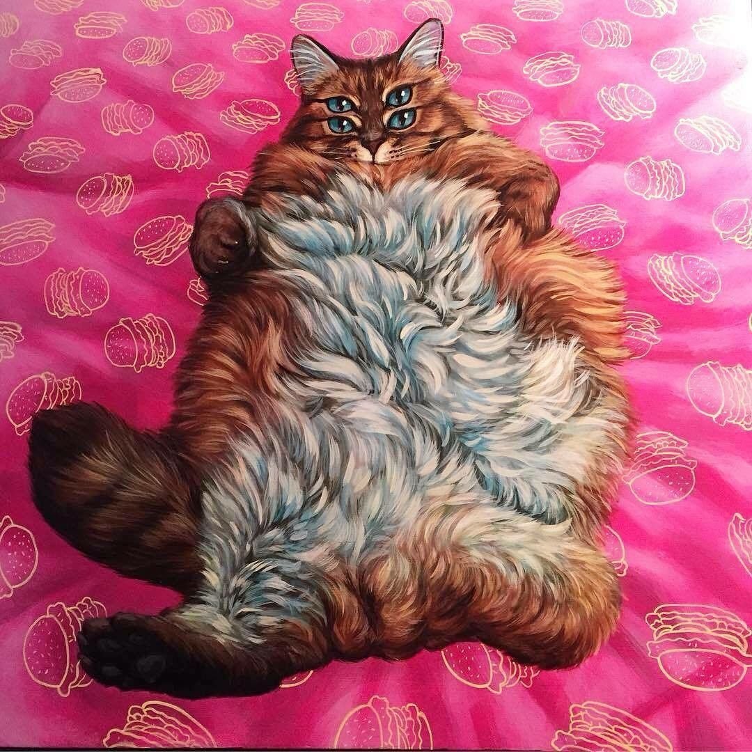 Casey Weldon кошки