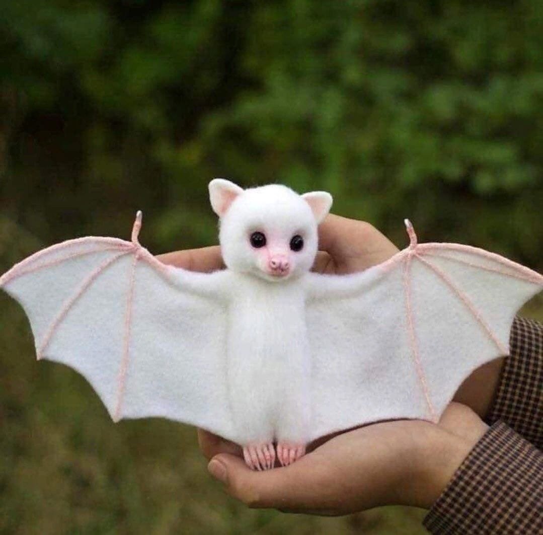 Сергей ушан