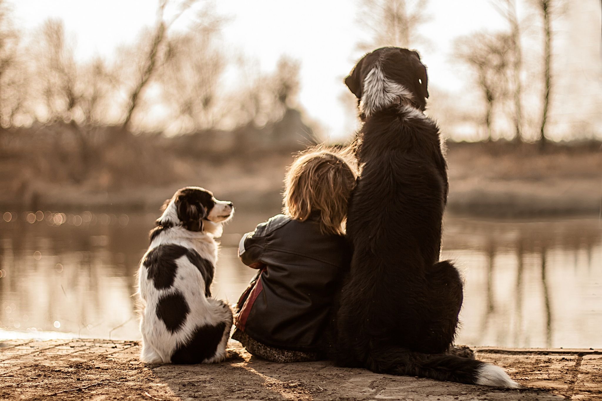 Мальчик и две собаки. Обнимает собаку. Любовь к животным. Люди и животные любовь. Дружба собаки и человека.